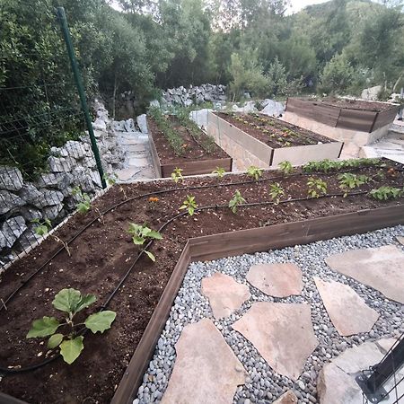 Villa Ilir Neum Exterior photo